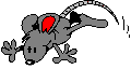 0_maus06.gif