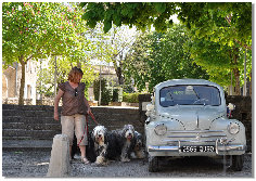 denter-bearded-collies_2020087007.jpg