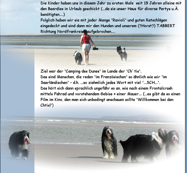 denter-bearded-collies_2020099004.jpg