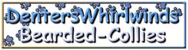 whirlwindlogo1.gif